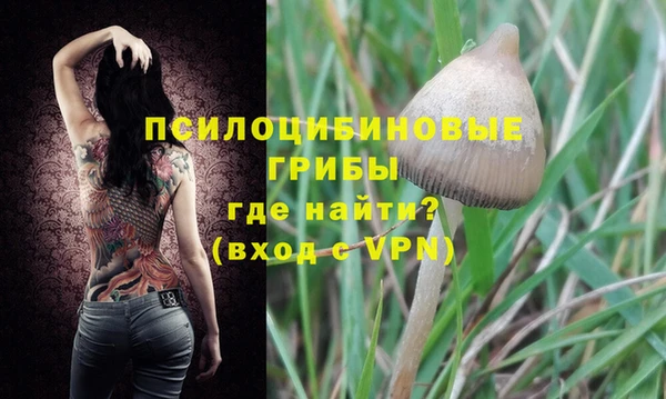 синтетический гашиш Зеленокумск