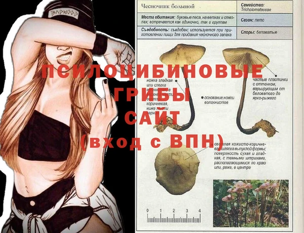 стаф Зеленодольск