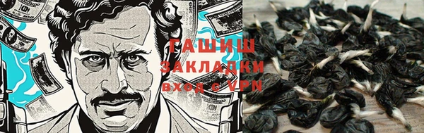 твердый Зерноград