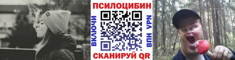 MEGA зеркало  даркнет сайт  Кимры  Галлюциногенные грибы Psilocybe 